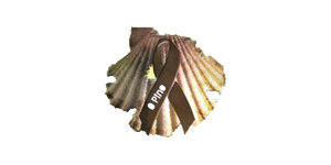 opino.png