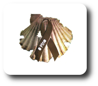 opino.png