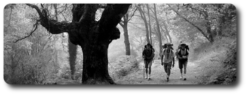 Asociación Galega de Amigos do Camiño de Santiago