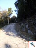 Camiño da Costa