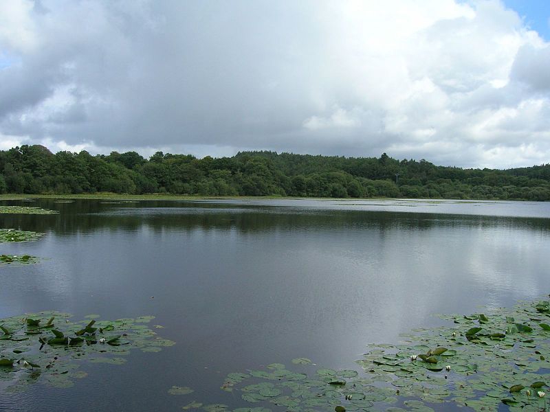 Sobrado dos Monxes, Lago © User:Tm