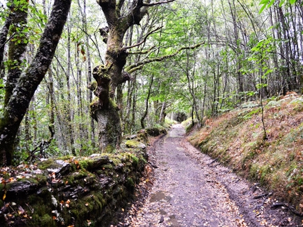 Pallozas entre la niebla (1er premio 2010)