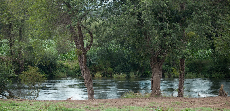 Olveiroa, Río © Luis Miguel Bugallo Sánchez